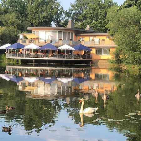 Pension Am See Torgau Dış mekan fotoğraf