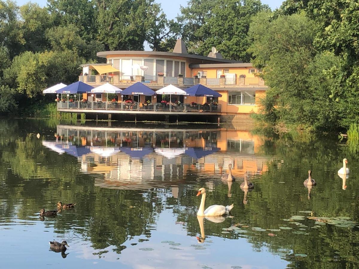 Pension Am See Torgau Dış mekan fotoğraf